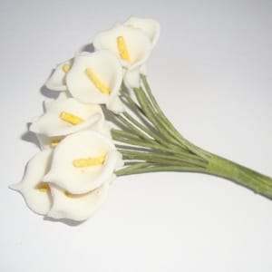 Calla Lillies - Small