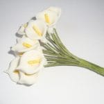 Calla Lillies - Small