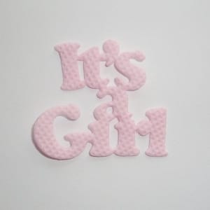 It’s a Girl Die Cuts