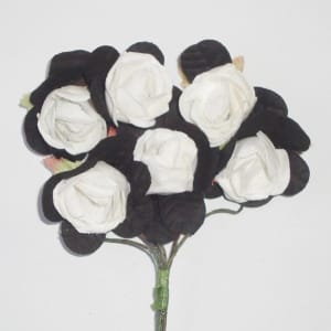 Mulberry Roses Two Toned -- Black and White