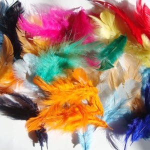 Artificial Feathers