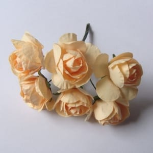 Paper Roses - Light Orange (Pack of 12 roses)