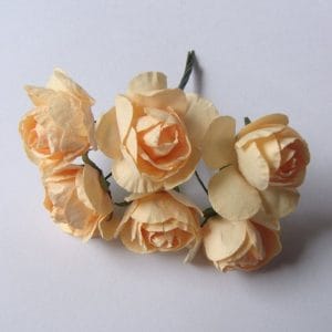Paper Roses - Light Orange (Pack of 12 roses)