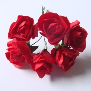 Paper Roses - Red