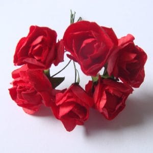 Paper Roses - Red