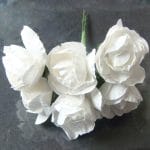 Paper Roses - White