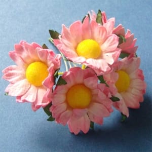 Mulberry Daisies - Baby Pink