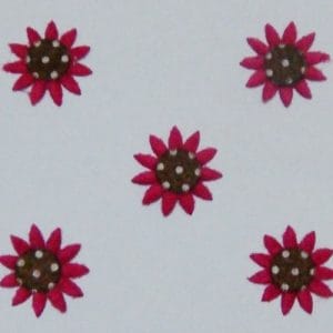 Sunflowers - Dark Pink