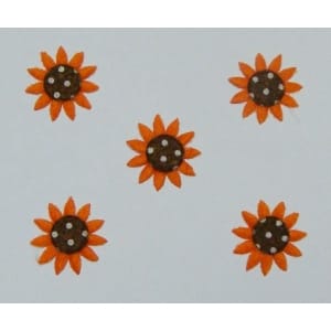 Sunflowers - Orange