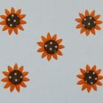 Sunflowers - Orange