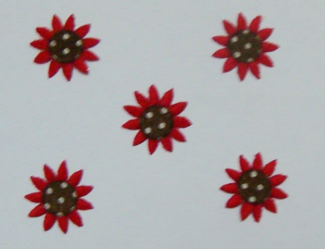 Sunflowers - Red SunflowerRed Sunflowers - Red