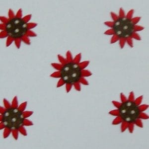Sunflowers - Red