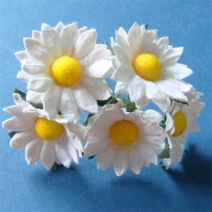 Mulberry Daisies - White