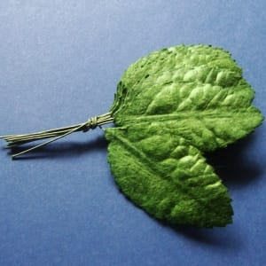 Mulberry Paper Large Leaves - Dark Green