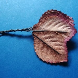 Mulberry Paper Large Leaves - Brown