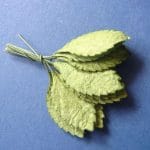 Mulberry Paper Medium Long Leaves - Green