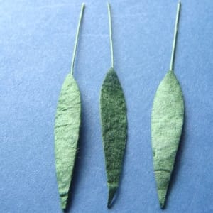 Mulberry Paper Small Long Leaves - Green