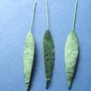 Mulberry Paper Small Long Leaves - Green