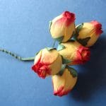 Mulberry Paper Rose Buds (Large) - Yellow and Red