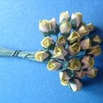 A bunch of Mini Flowers - Green and White