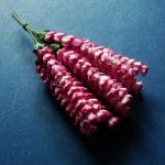 A Stem of Flowers - Pink and White (A pack contains 5 stems)