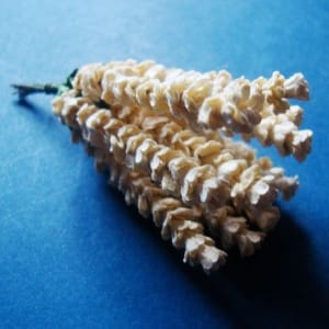 A Stem of Flowers - Cream (A pack contains 5 stems)