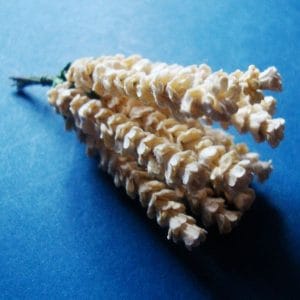 A Stem of Flowers - Cream (A pack contains 5 stems)