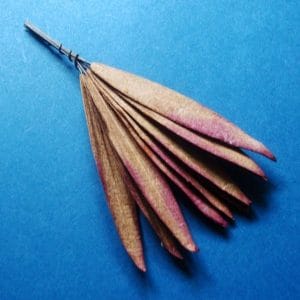 Mulberry Paper Long Leaves - Brown