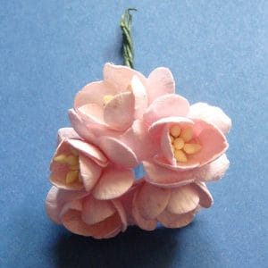 Mulberry Cherry Blossoms - Baby Pink