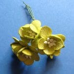 Mulberry Cherry Blossoms - Green (Pack of 10 flowers)