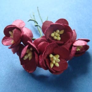 Mulberry Cherry Blossoms - Maroon (Pack of 10 flowers)