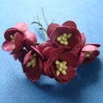 Mulberry Cherry Blossoms - Maroon (Pack of 10 flowers)