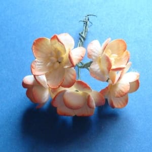 Mulberry Cherry Blossoms - Orange and White (Pack of 10 flowers)