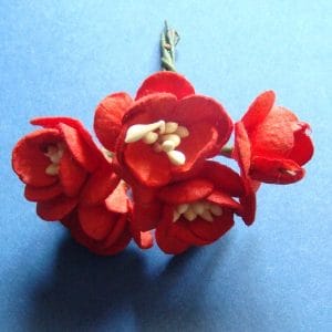 Mulberry Cherry Blossoms - Red (Pack of 10 flowers)