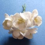 Mulberry Cherry Blossoms - White