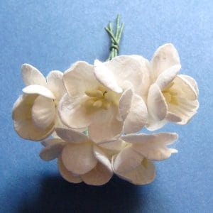 Mulberry Cherry Blossoms - White