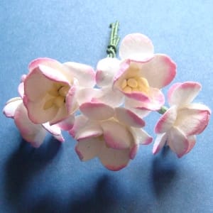 Mulberry Cherry Blossoms - Pink and White (Pack of 10 flowers)