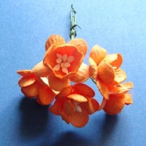 Mulberry Cherry Blossoms - Orange (Pack of 10 flowers)