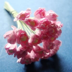 Flower Buds with pollens - Baby Pink