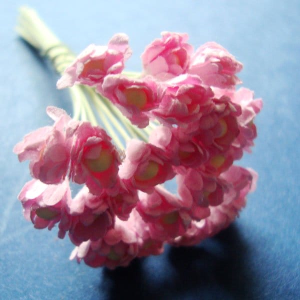 Flower Buds with pollens - Baby Pink FlowerBudsWithPollensBabyPink Flower Buds with pollens - Baby Pink