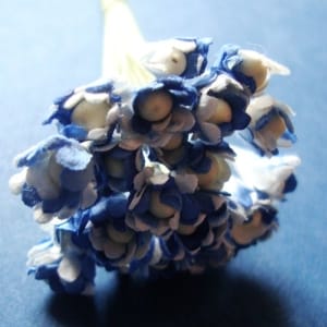 Flower Buds with pollens - Dark Blue