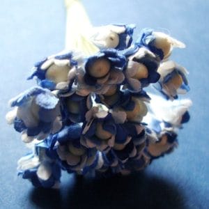 Flower Buds with pollens - Dark Blue