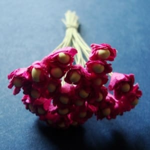 Flower Buds with pollens - Dark Pink