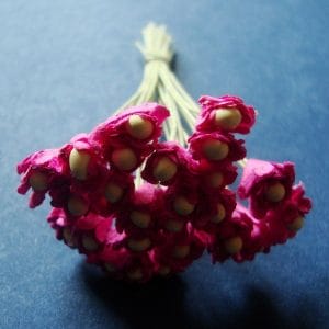 Flower Buds with pollens - Dark Pink