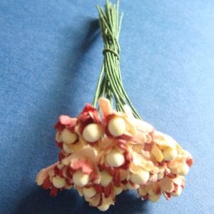 Flower Buds with pollens - Maroon and Light Brown