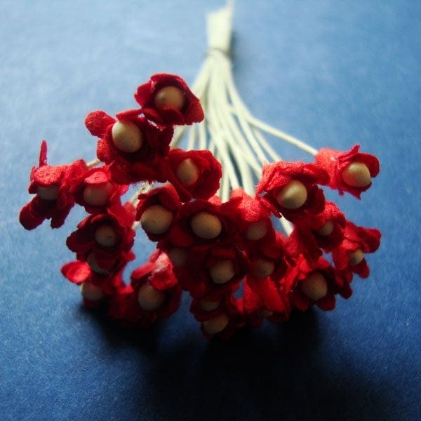Flower Buds with pollens - Red FlowerBudsWithPollensRed Flower Buds with pollens - Red