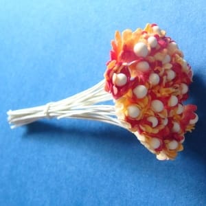 Flower Buds with pollens - Yellow and Red