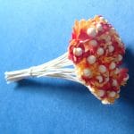 Flower Buds with pollens - Yellow and Red