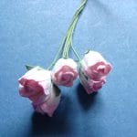 Mulberry Rose buds - Pink and White