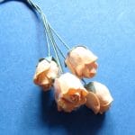 Mulberry Rose buds - Light Orange